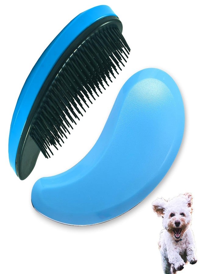 DEEUCHIS Small Dog Brush, Soft Pet Grooming Brush for Shih Tzus, Yorkies, Maltipoos, Maltese, Puppy Massaging Hair Brush, Cat Brush, for Small Animals Rabbits of All Hair Types (Blue) - Image 1